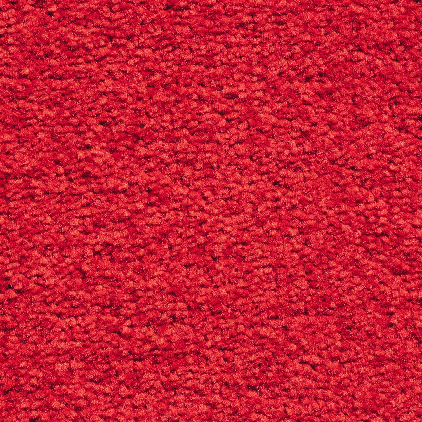 Serene 10mm Saxony Pile Carpet with Action Backing