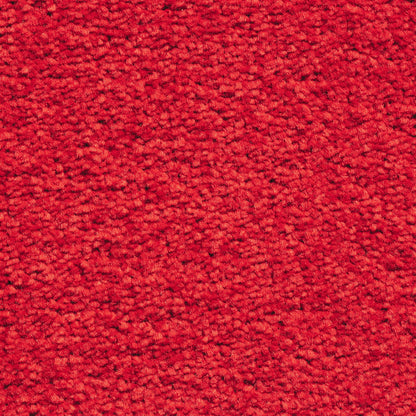 Serene 10mm Saxony Pile Carpet with Action Backing