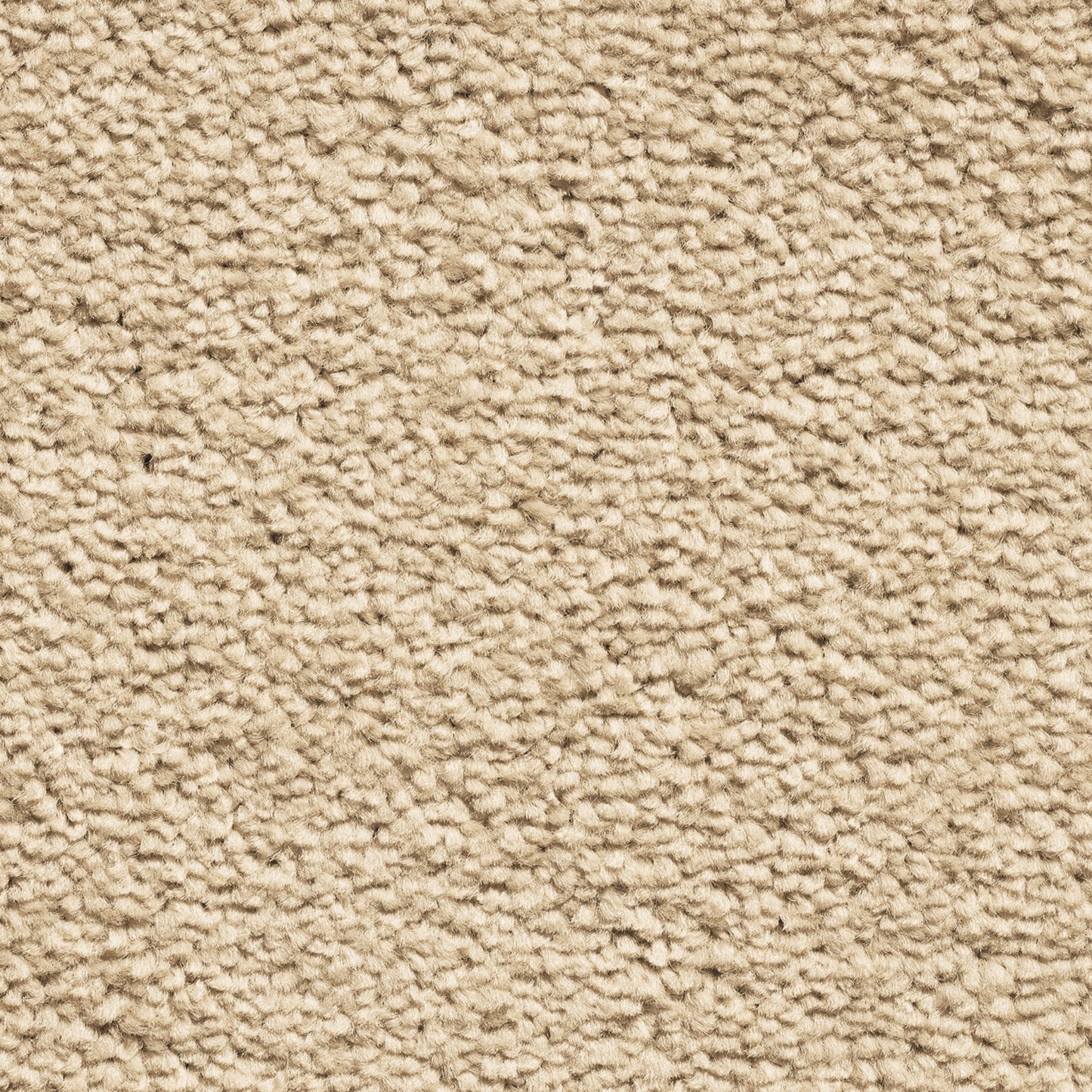 Serene 10mm Saxony Pile Carpet with Action Backing