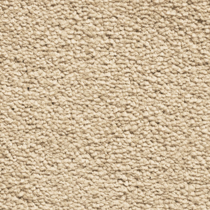 Serene 10mm Saxony Pile Carpet with Action Backing