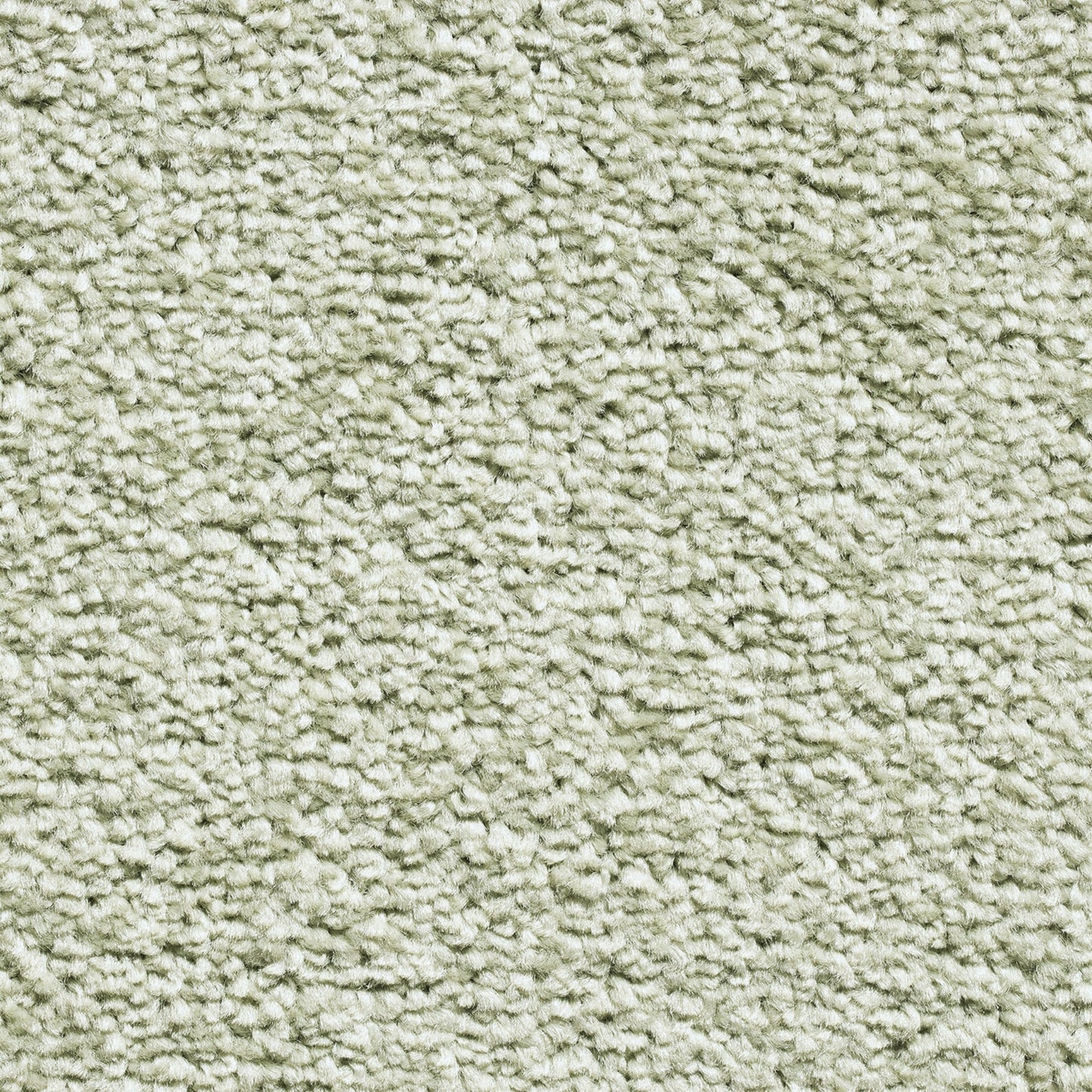 Serene 10mm Saxony Pile Carpet with Action Backing