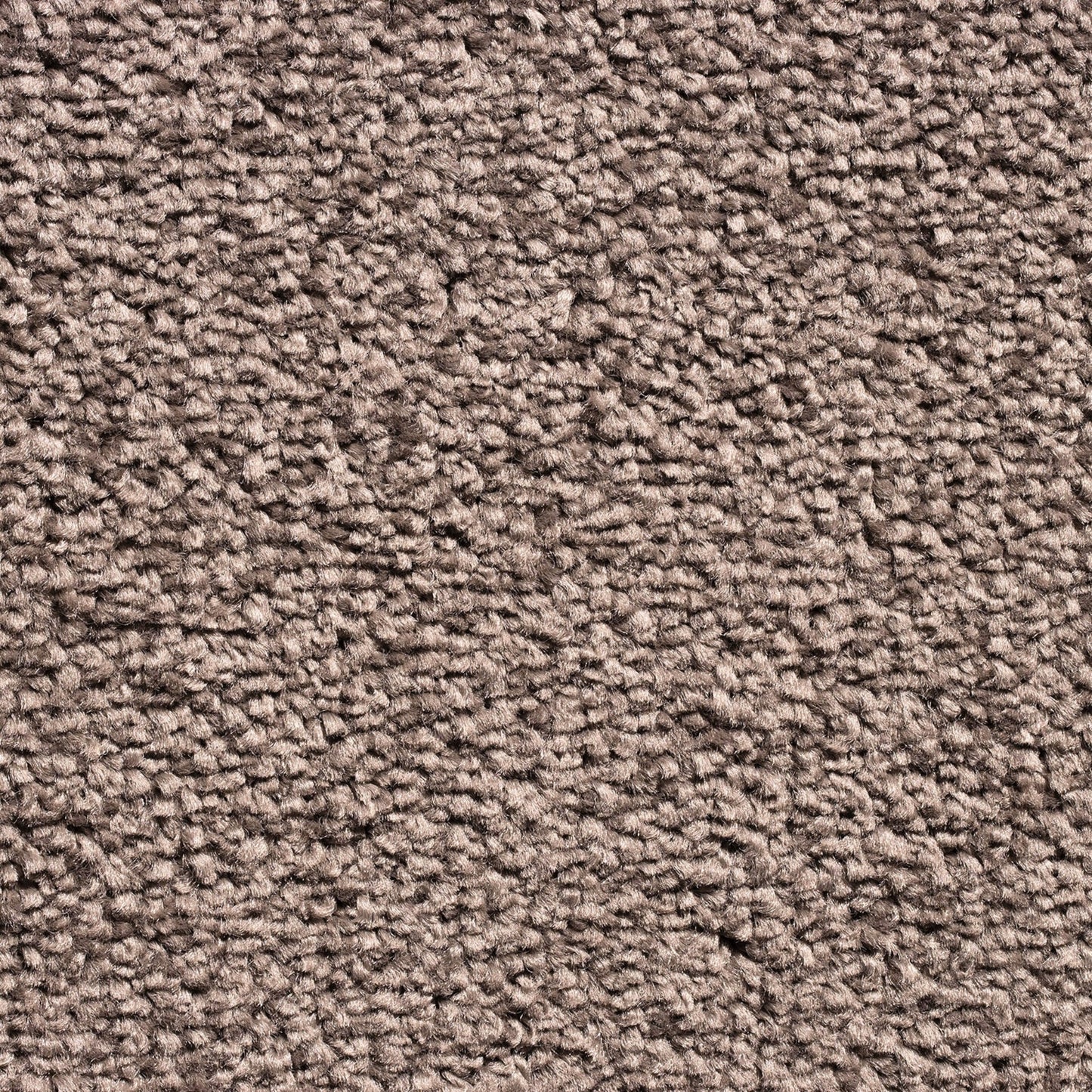 Serene 10mm Saxony Pile Carpet with Action Backing