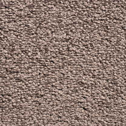 Serene 10mm Saxony Pile Carpet with Action Backing