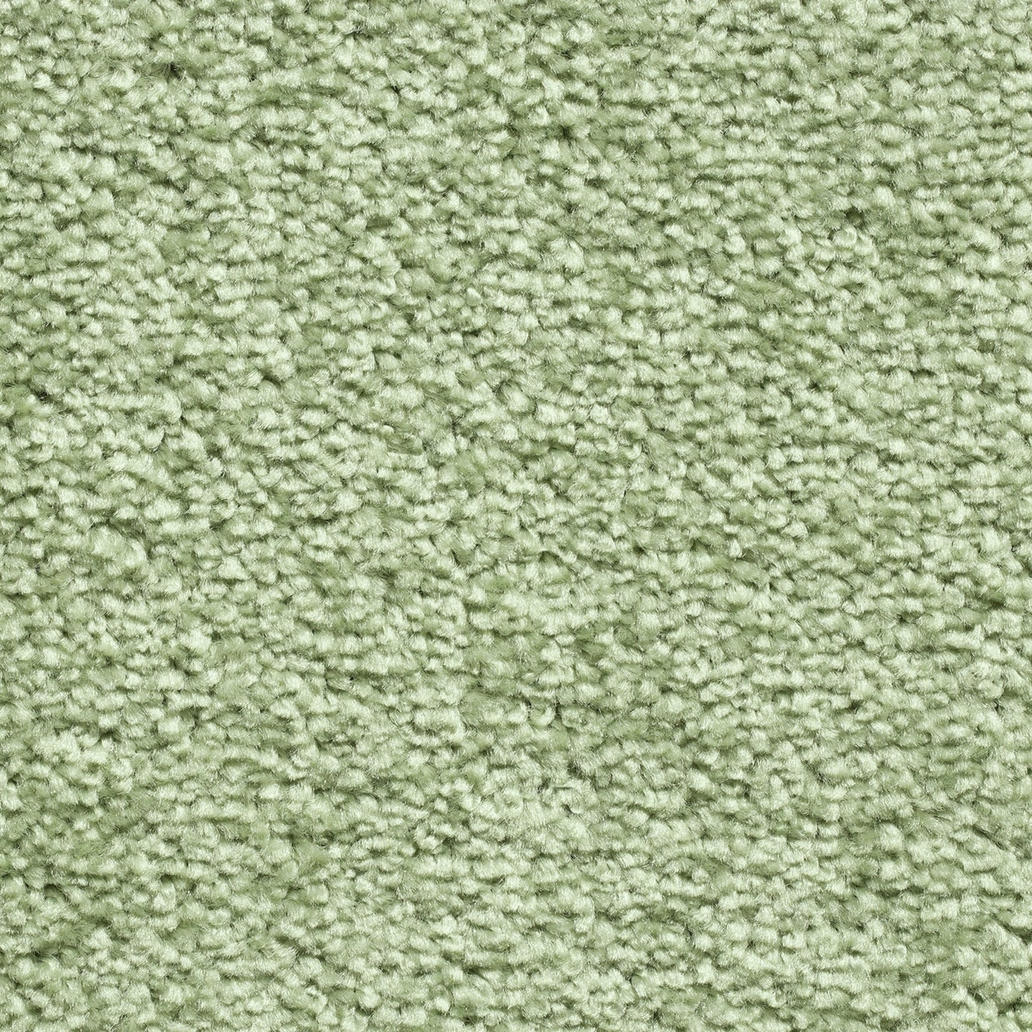 Serene 10mm Saxony Pile Carpet with Action Backing