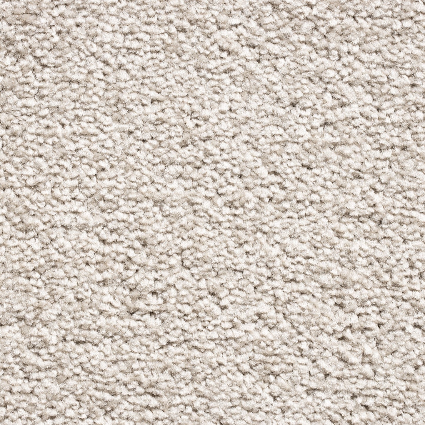 Serene 10mm Saxony Pile Carpet with Action Backing