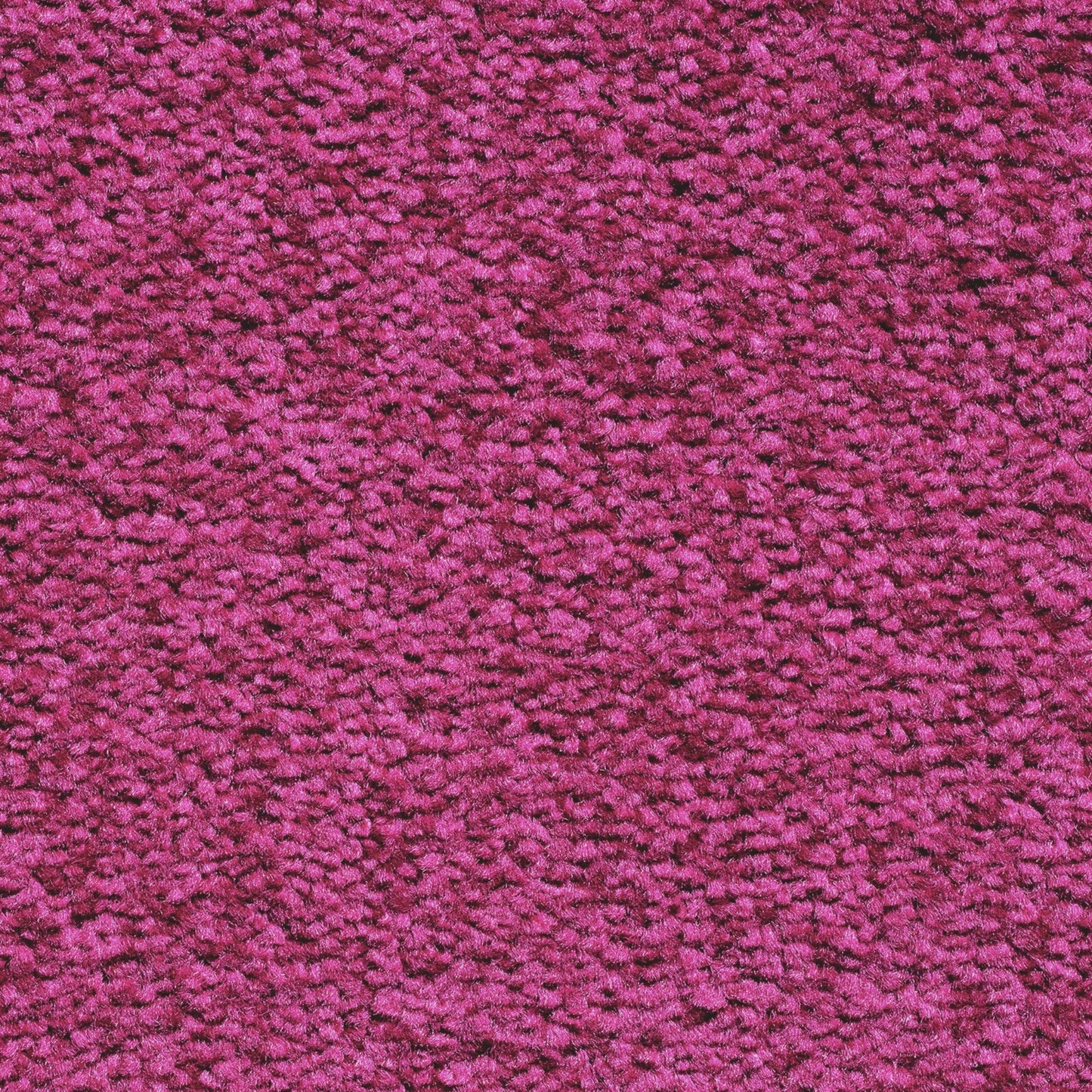 Serene 10mm Saxony Pile Carpet with Action Backing