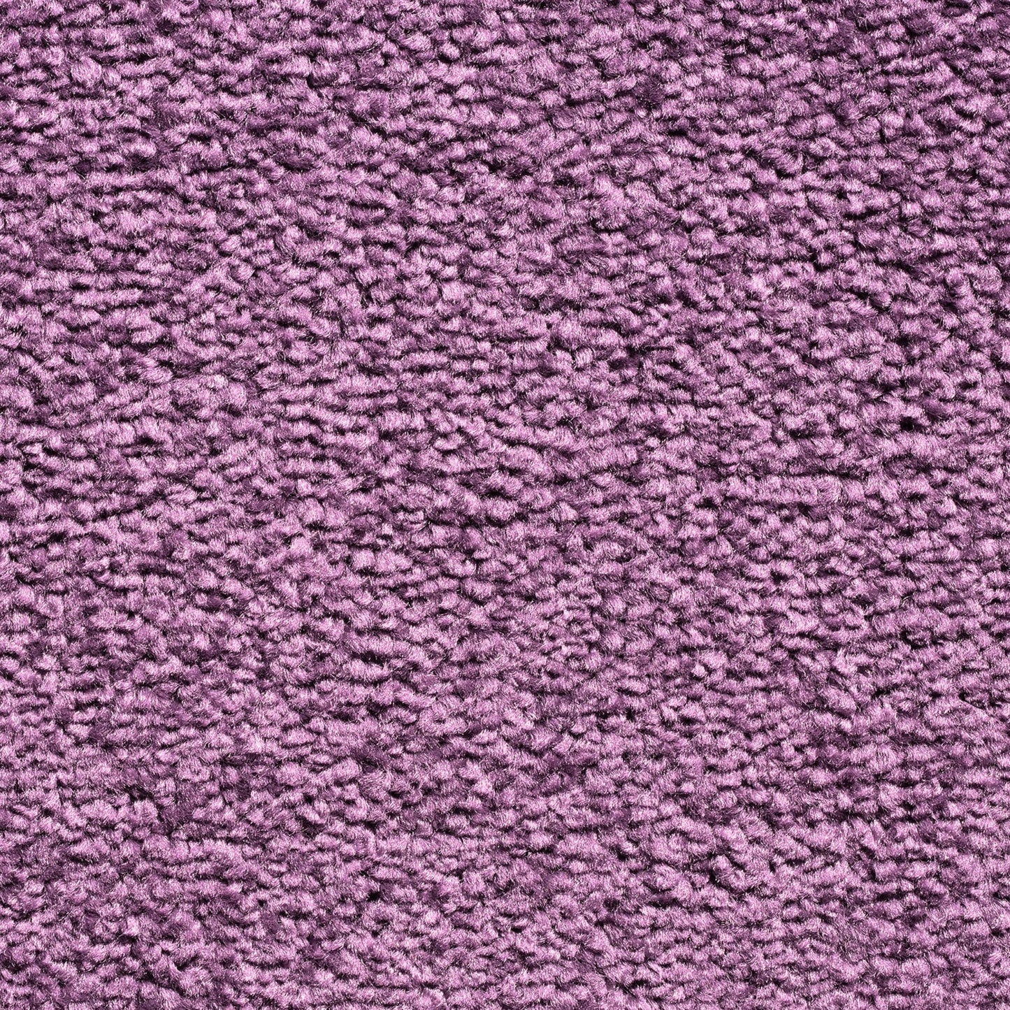 Serene 10mm Saxony Pile Carpet with Action Backing