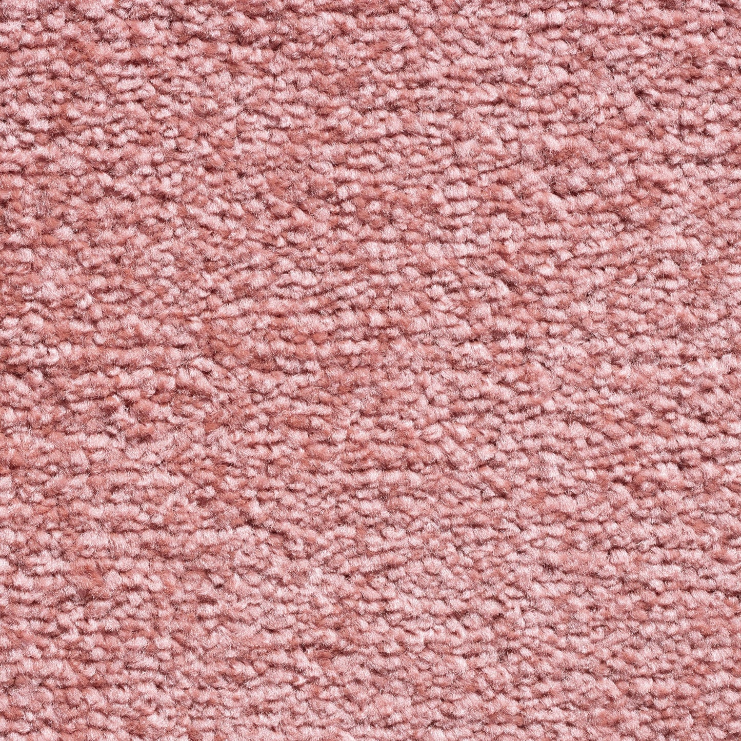 Serene 10mm Saxony Pile Carpet with Action Backing