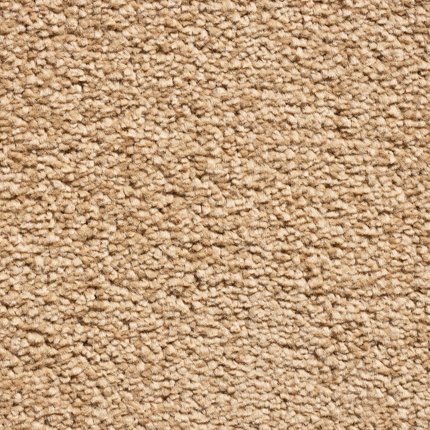 Serene 10mm Saxony Pile Carpet with Action Backing