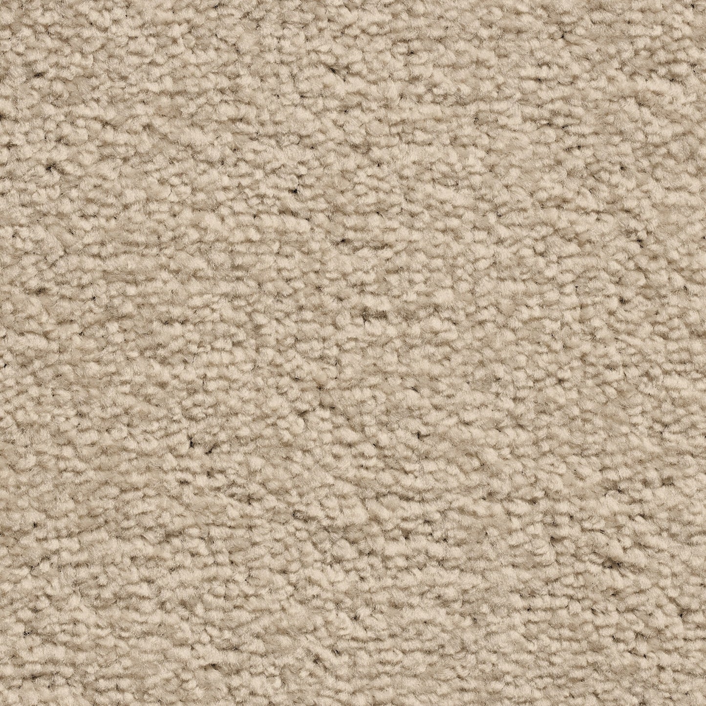 Serene 10mm Saxony Pile Carpet with Action Backing