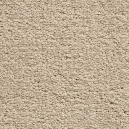 Serene 10mm Saxony Pile Carpet with Action Backing