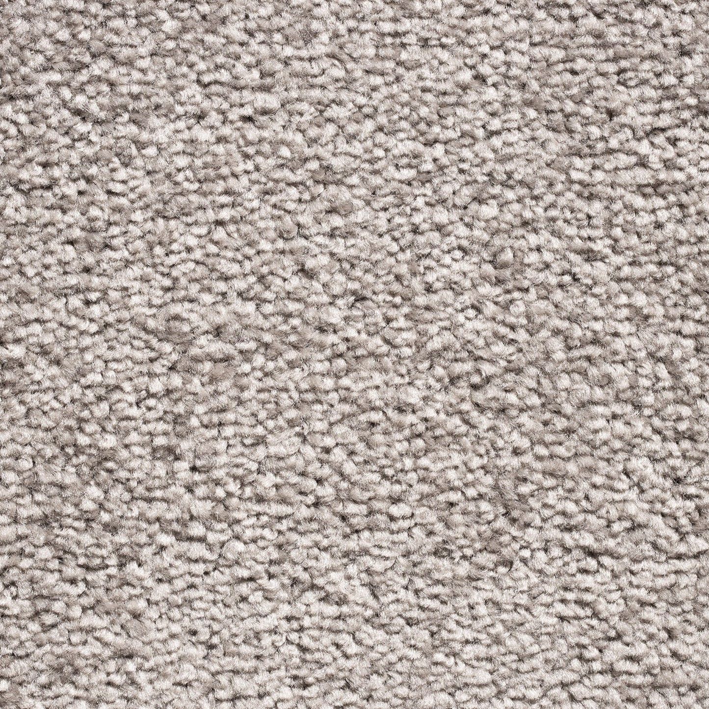 Serene 10mm Saxony Pile Carpet with Action Backing