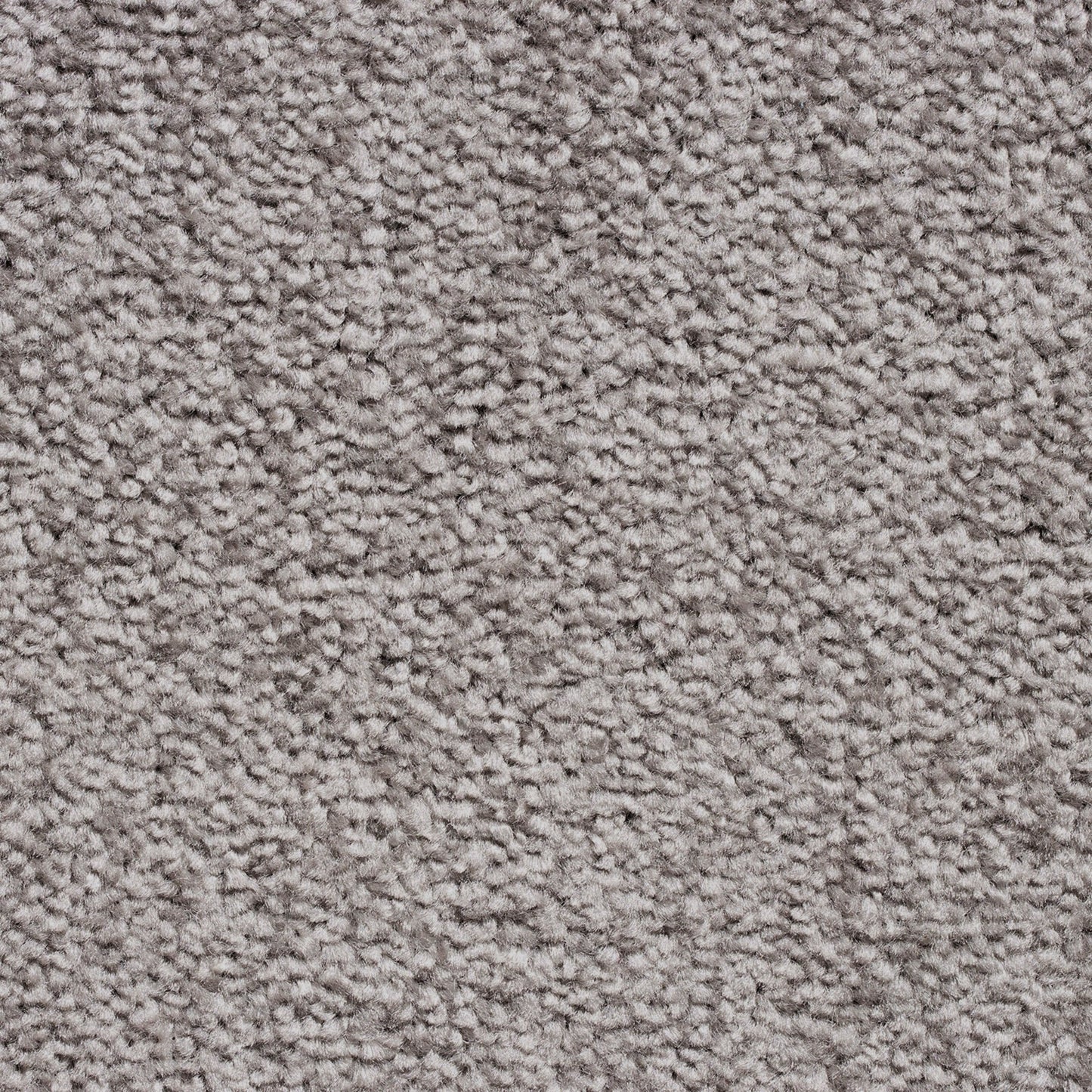 Serene 10mm Saxony Pile Carpet with Action Backing