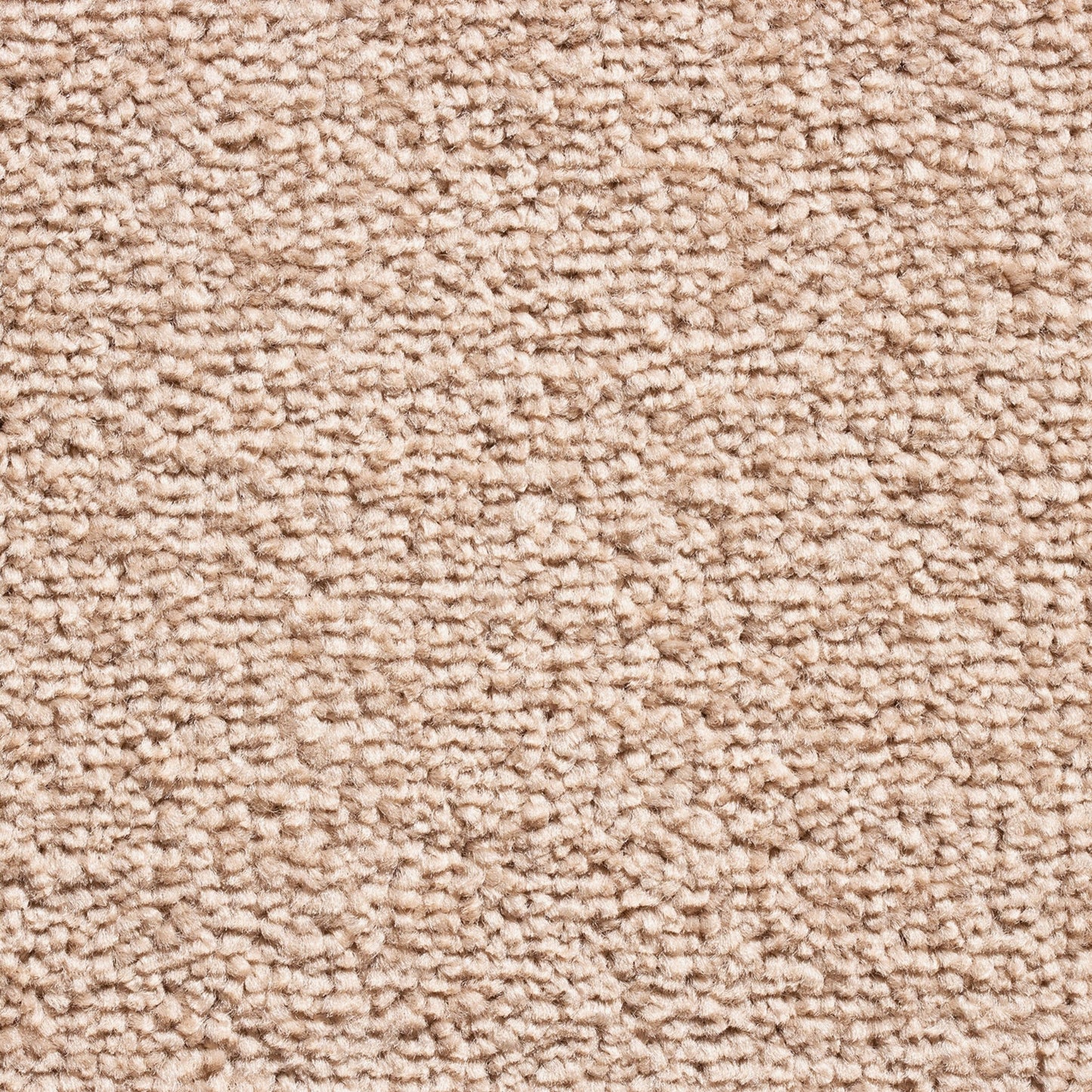 Serene 10mm Saxony Pile Carpet with Action Backing