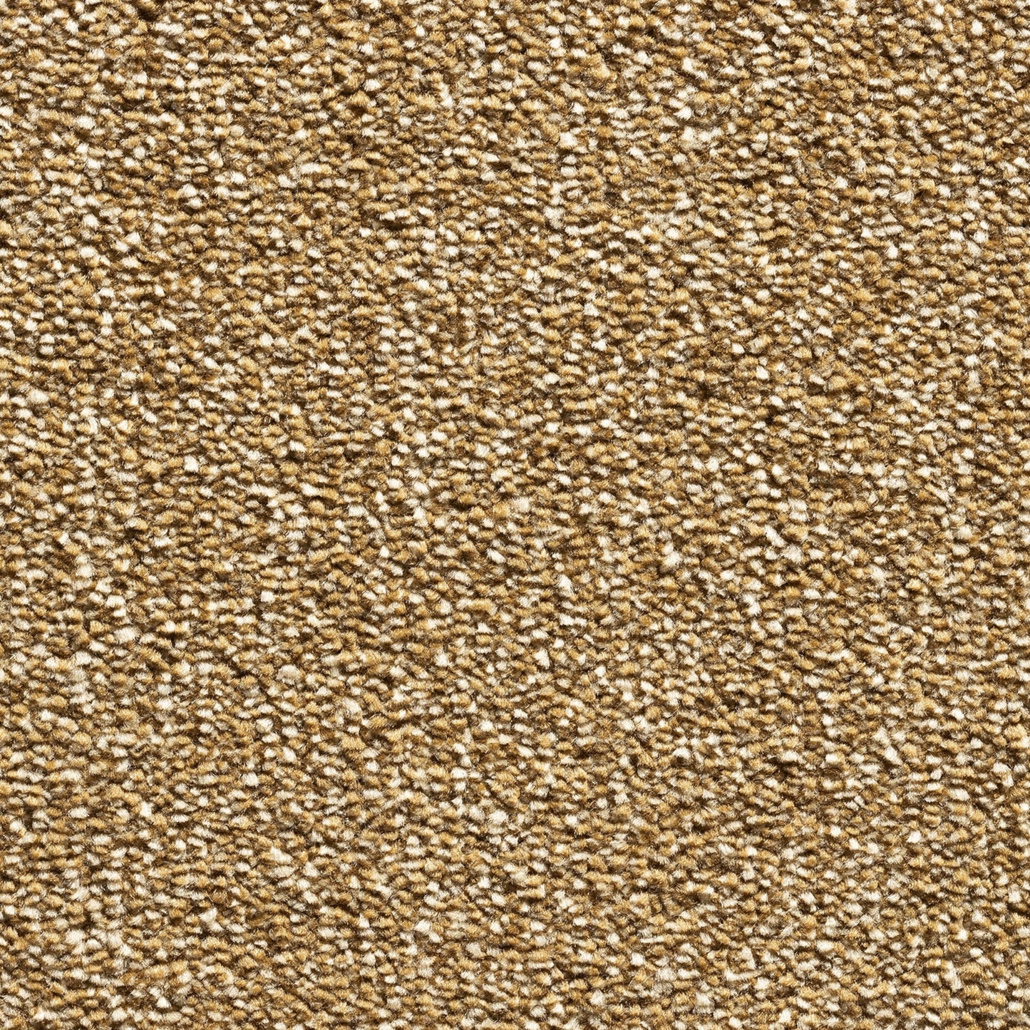 Serenity 17.5mm Deep Saxony Pile Carpet with Action Backing Sample