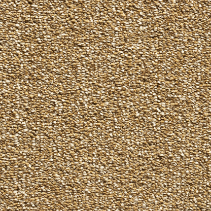 Serenity 17.5mm Deep Saxony Pile Carpet with Action Backing Sample
