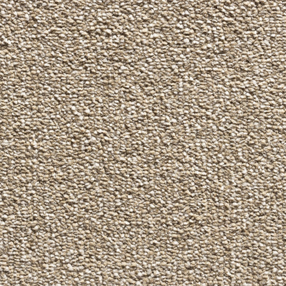 Serenity 17.5mm Deep Saxony Pile Carpet with Action Backing Sample
